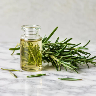 Rosemary leaf extract